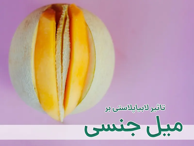 لابیاپلاستی و میل جنسی