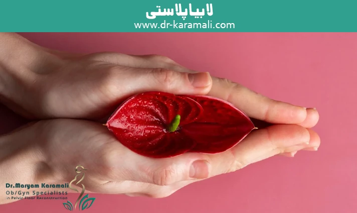 لابیاپلاستی