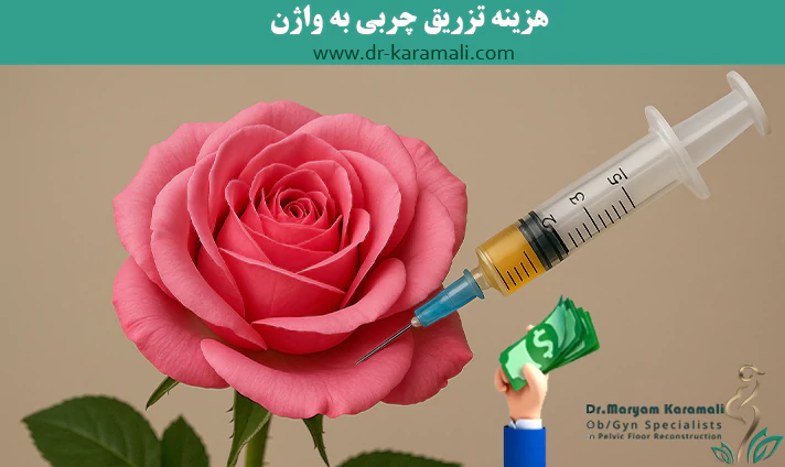 هزینه تزریق چربی به واژن